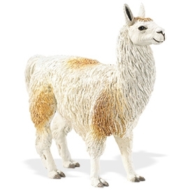 Safariltd 라마