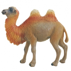 Safariltd 낙타