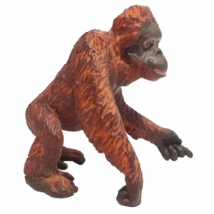 Safariltd 오랑우탄