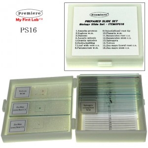 C&A Scientific PS16 프레파라트 생물